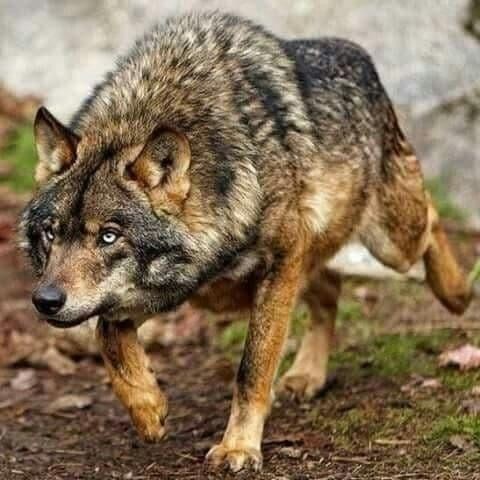 05:59:44 GMT-0500 (CDT)