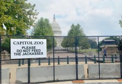 image_1632836497.302