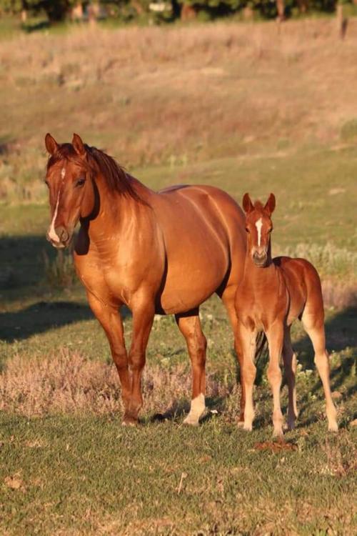 FB_IMG_1630899102684