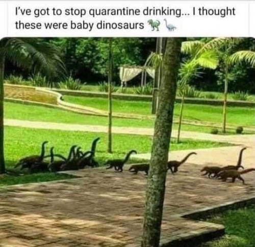 FB_IMG_1630808832298