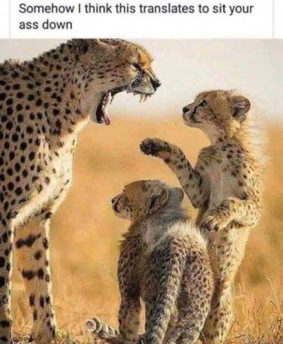 07:21:55 GMT-0400 (EDT).image