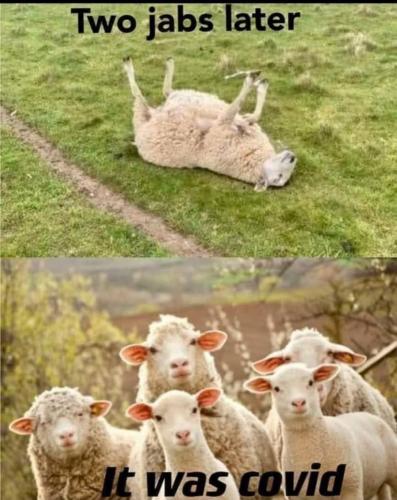 IMG_20210928_031344_266