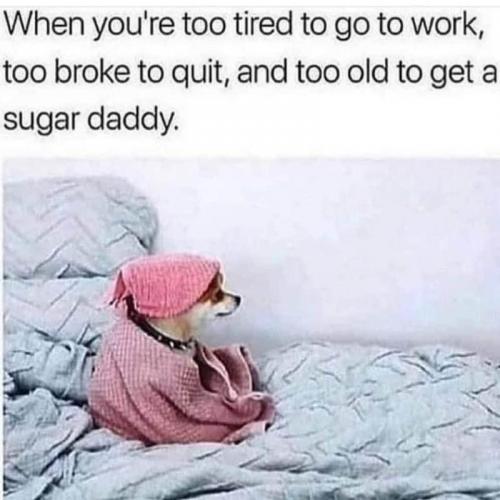 _()_02