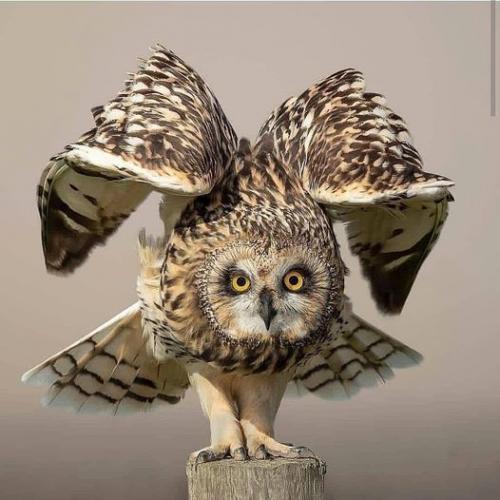 241401729_404676067702739_6064154959655415107_n