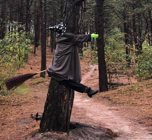 IMG_20210917_211233_353