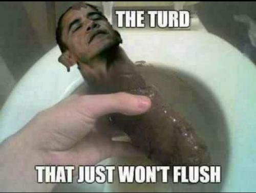 Obama the Turd That Just Won't Flush