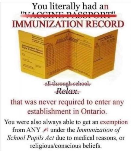 immunization record