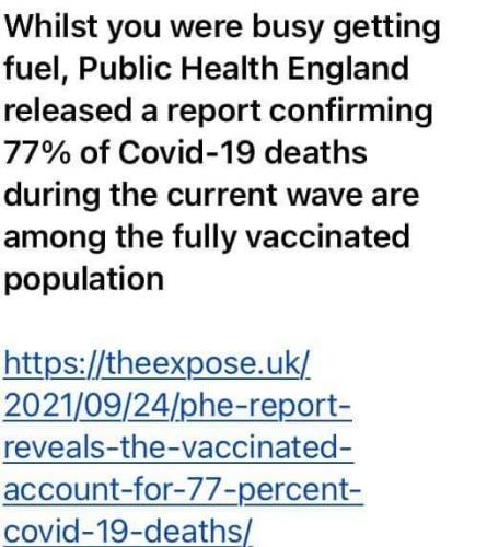 FB_IMG_1632824993662