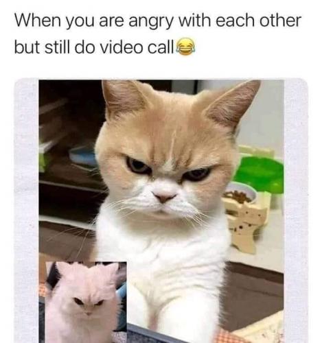 FB_IMG_1632019818906