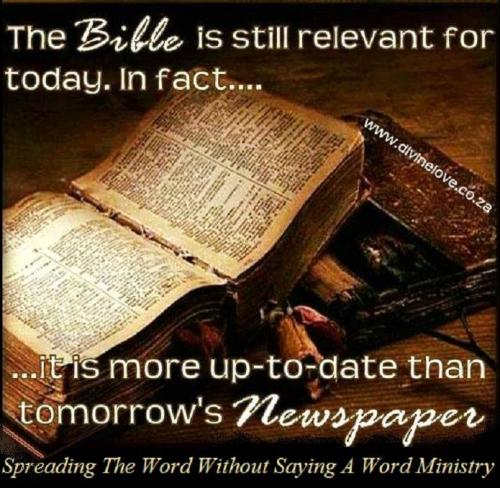 241053588_537908847486537_3557842404684167925_n