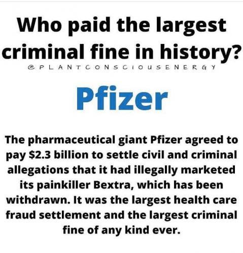 photo_2021-08-23_23-27-12