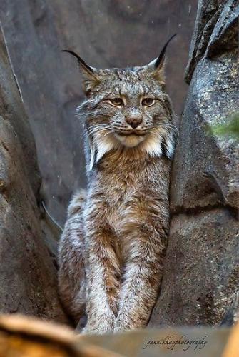 19:22:51 GMT-0500 (CDT)