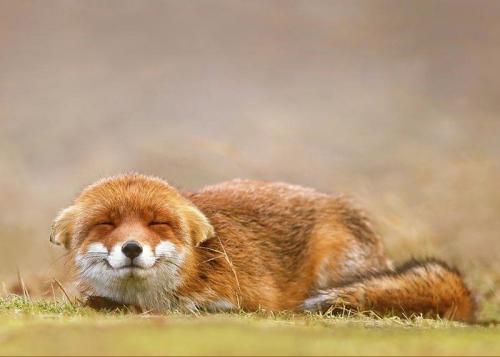 19:09:02 GMT-0500 (CDT)