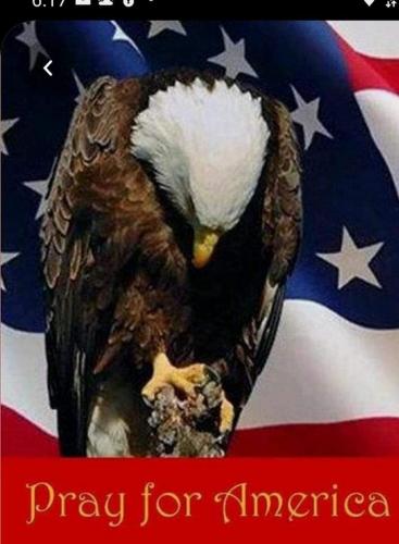 FB_IMG_1632271480783