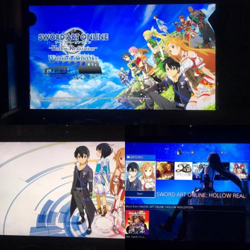 SAO: Hollow Realization Warriors of the Sky