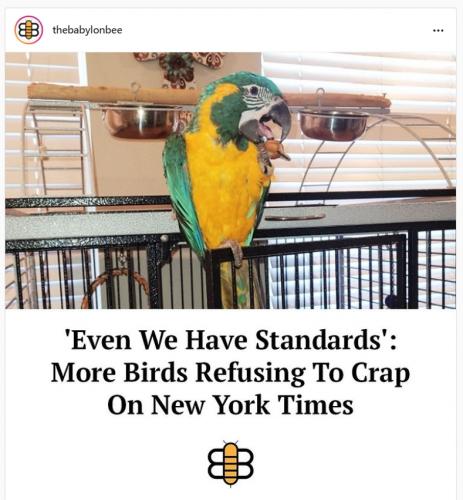 _()_11