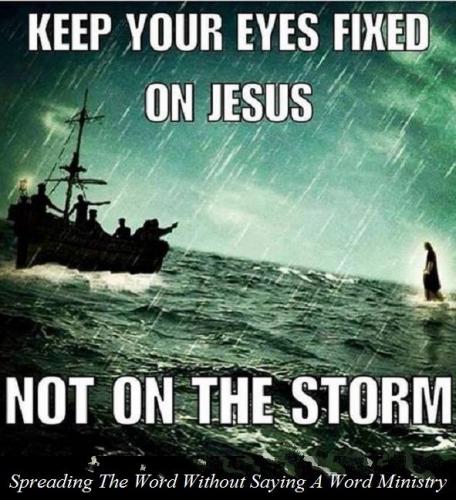 21430590_1521510301264429_1391788744420836824_n