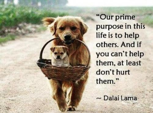 11:07:26 GMT-0400 (EDT)