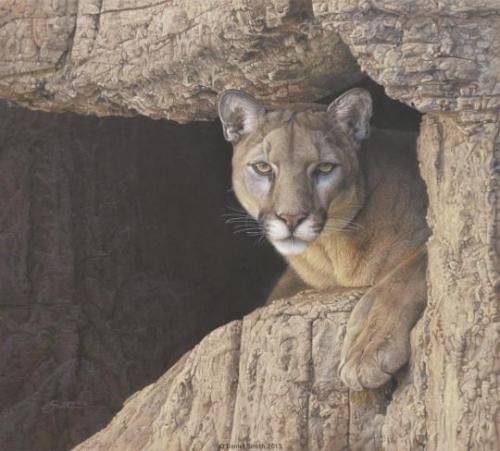 tumblr_c327dd8f054dec939355c8ece50421ed_848105e1_540