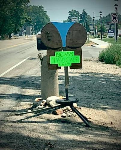 240768061_4448899745160313_2659183279306478546_n