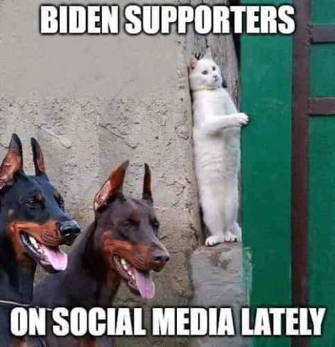 240829724_532483884705668_6081094252935058193_n