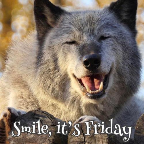 08:59:18 GMT-0500 (CDT)