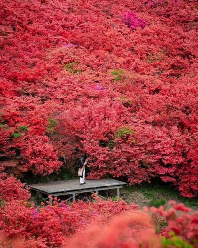 243313657_1248071782376497_2782794651096901102_n