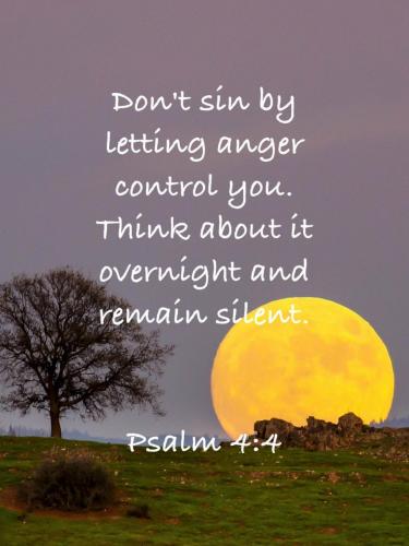 08:12:31 GMT-0400 (EDT)