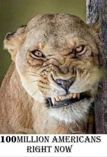 21:33:08 GMT-0500 (CDT)