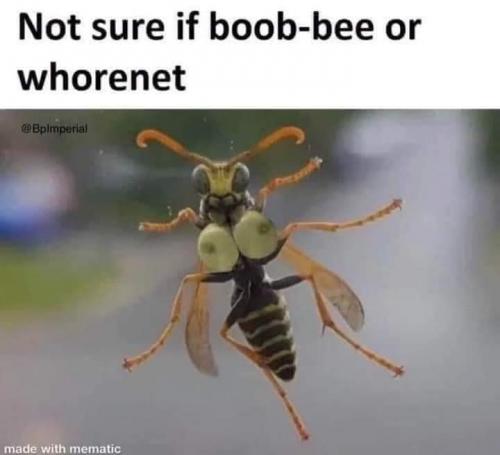 17:20:52 GMT-0500 (CDT)