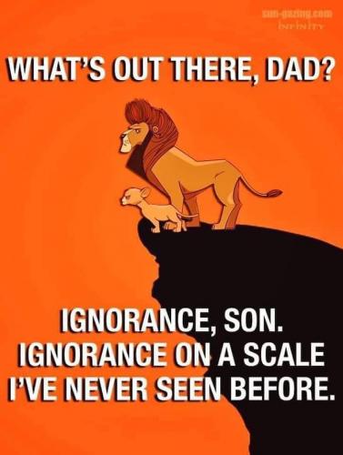 FB_IMG_1629435534991