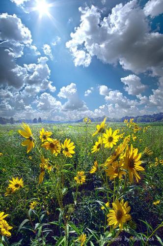 242493538_10159803987262010_7921130586884178153_n