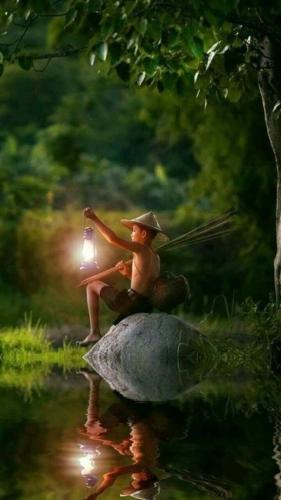 Boy fishing in nature