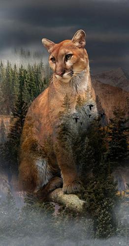 20:39:17 GMT-0500 (CDT)