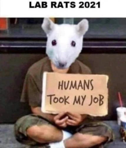 FB_IMG_1632568257064