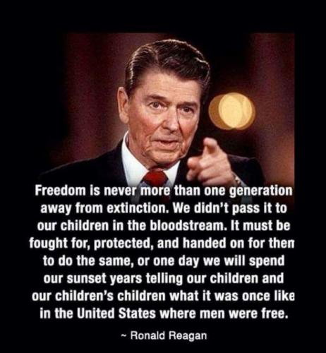 freedom12