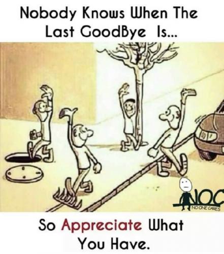 No last goodbye appreciate now