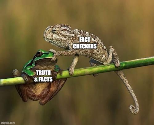 fact_checker_and_truth_and_facts