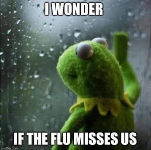 2021-09-21_14-22-41 Do the Flu miss us