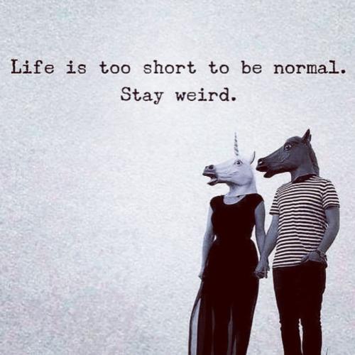 243015833_393202435709224_3412853809315067141_n