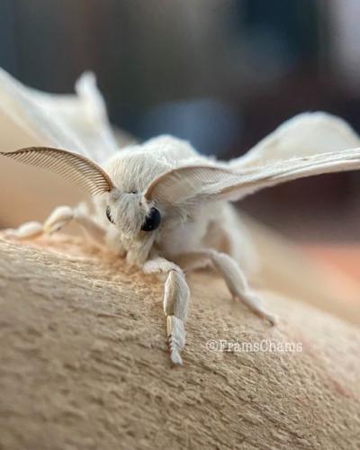 241997062_4141840685927776_2028309844351676209_n