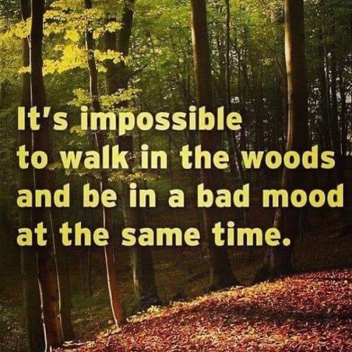 09:30:35 GMT-0400 (EDT).image