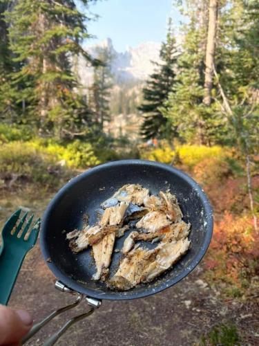 241966080_4389734901074133_4401931906384109567_n