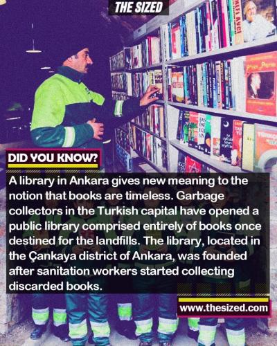 242945281_390921315807525_8442572286889978873_n