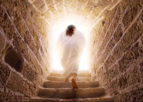 Screenshot_20210928-031529_DuckDuckGo~3