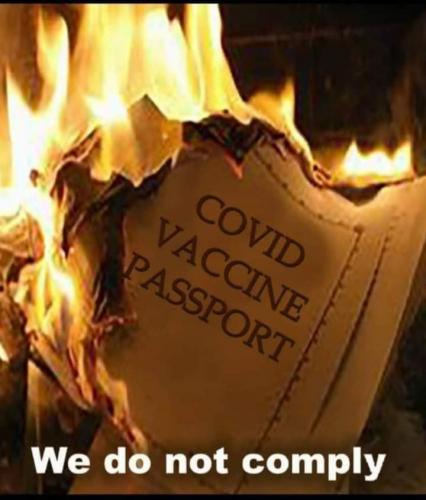 240886235_10157806858122723_3374120221941129030_n