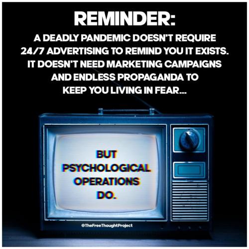 241673582_2622295084744356_1556399870076260906_n