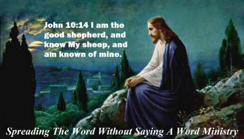 40751230_1948216241927164_2819335499393531904_n