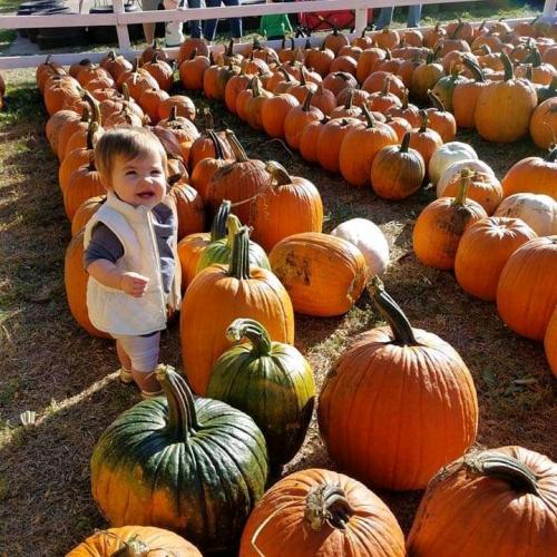 07:11:53 GMT-0700 (PDT)