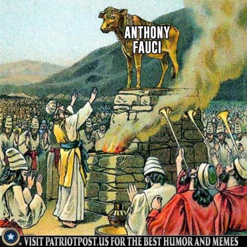 FB_IMG_1632273784716